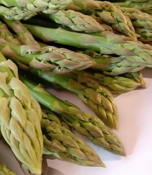 Produk Asparagus
